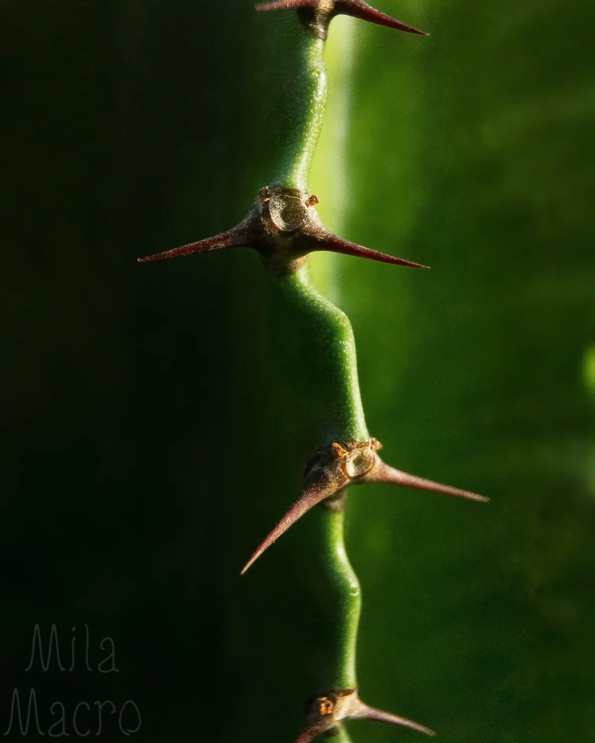 Середина недели | Сетка — социальная сеть от hh.ru