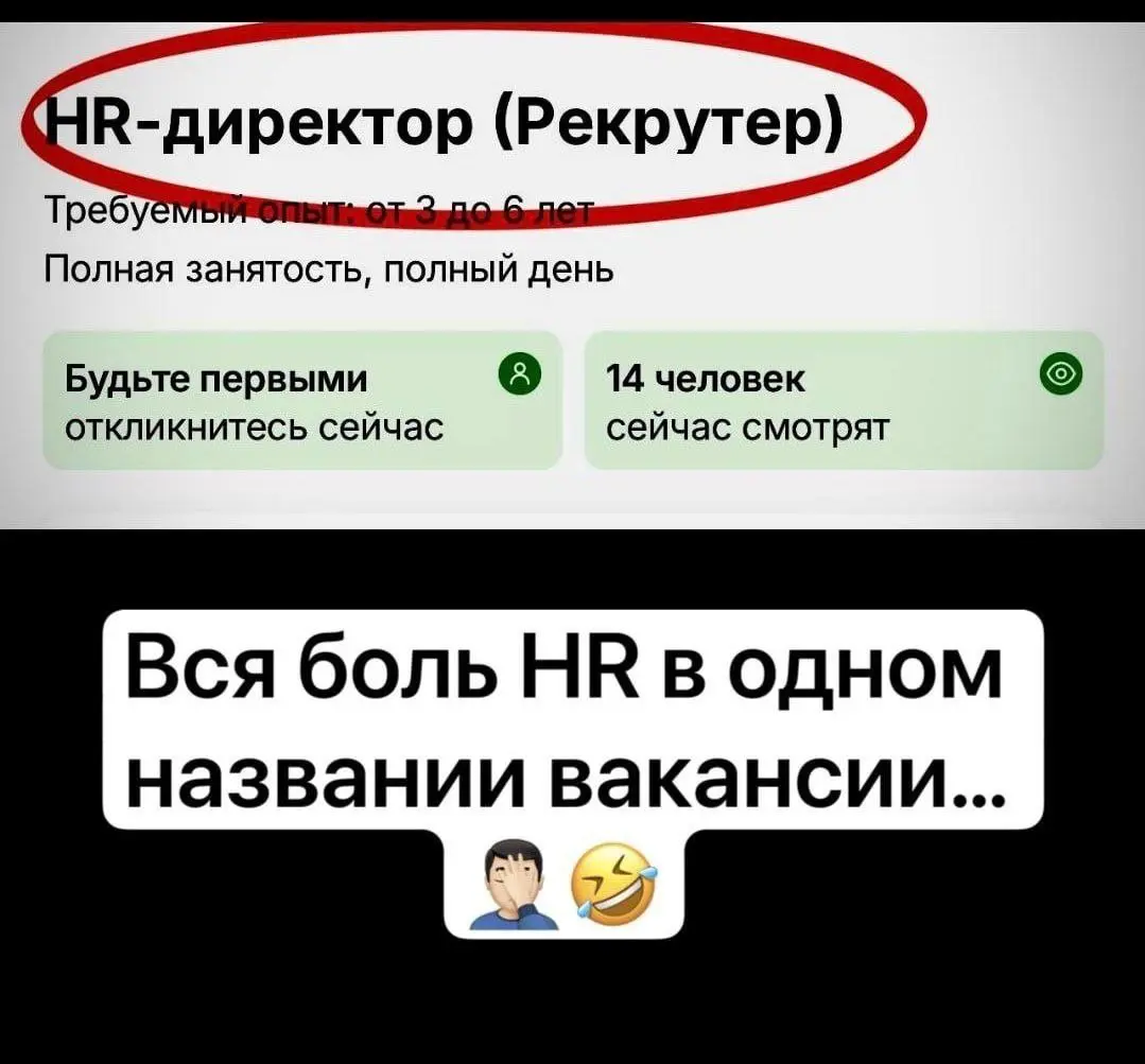 Сетка — социальная сеть от hh.ru