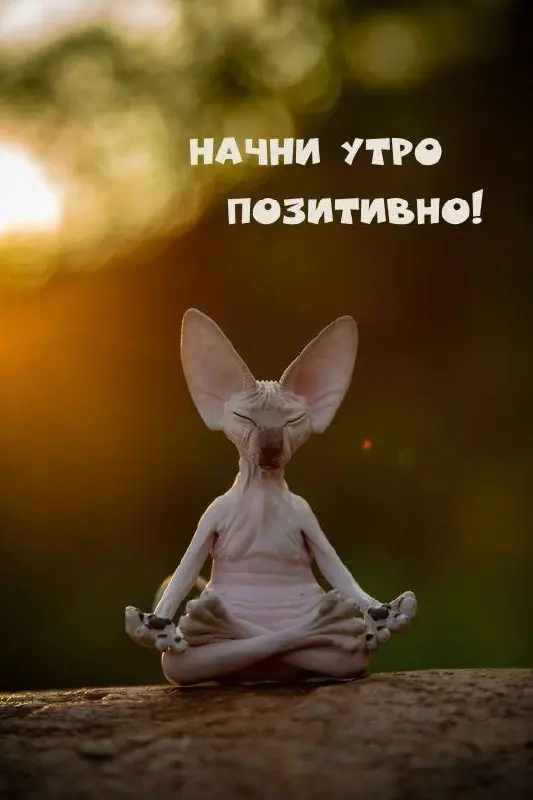 СРЕДА
Собираем мысли в кучу, мы уже на середине недели 💪
Подсказка Вселенной уже в сторис | Сетка — социальная сеть от hh.ru