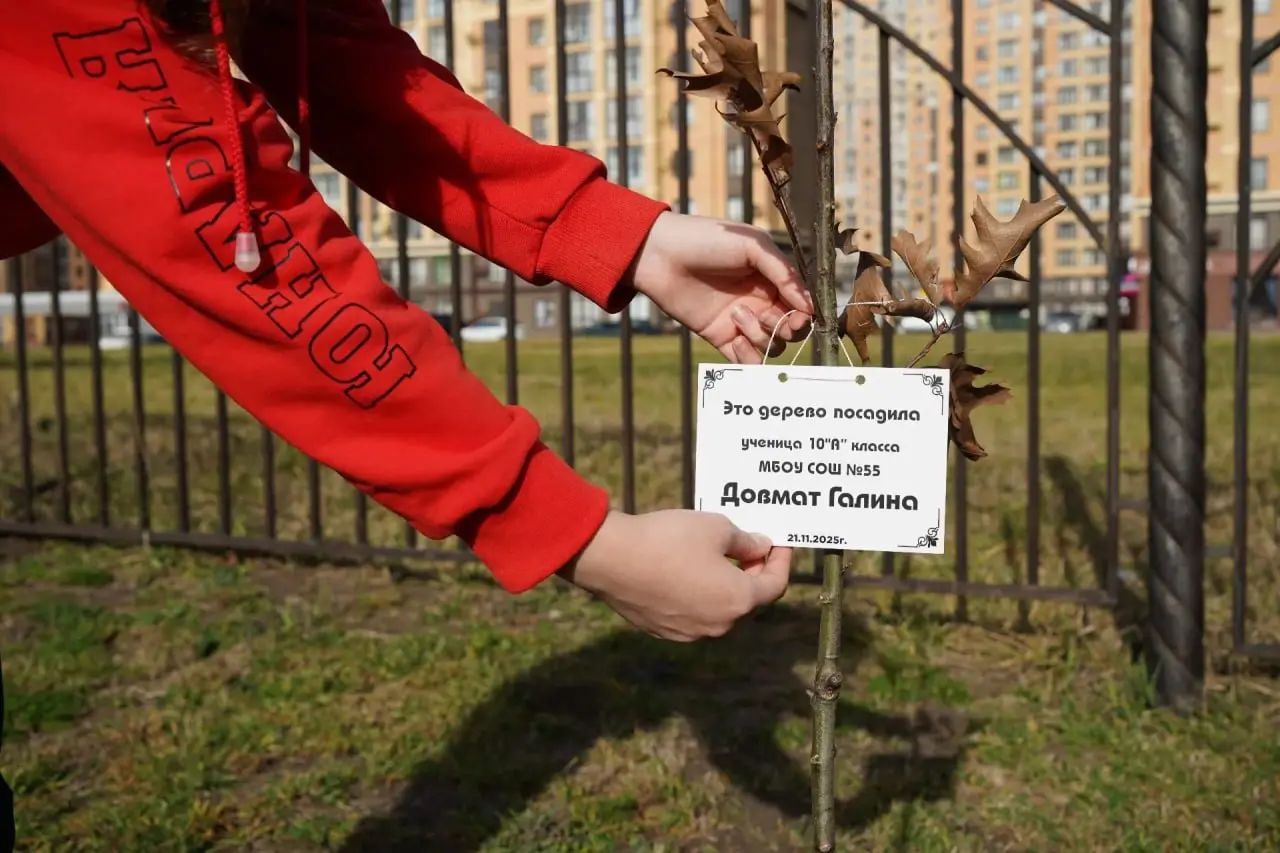 🌳 55 дубов высадили ученики школы №55 в Ставрополе
На каждом саженце разместили табличку с именем школьника, который выкопал лунку и посадил молодое растение | Сетка — социальная сеть от hh.ru