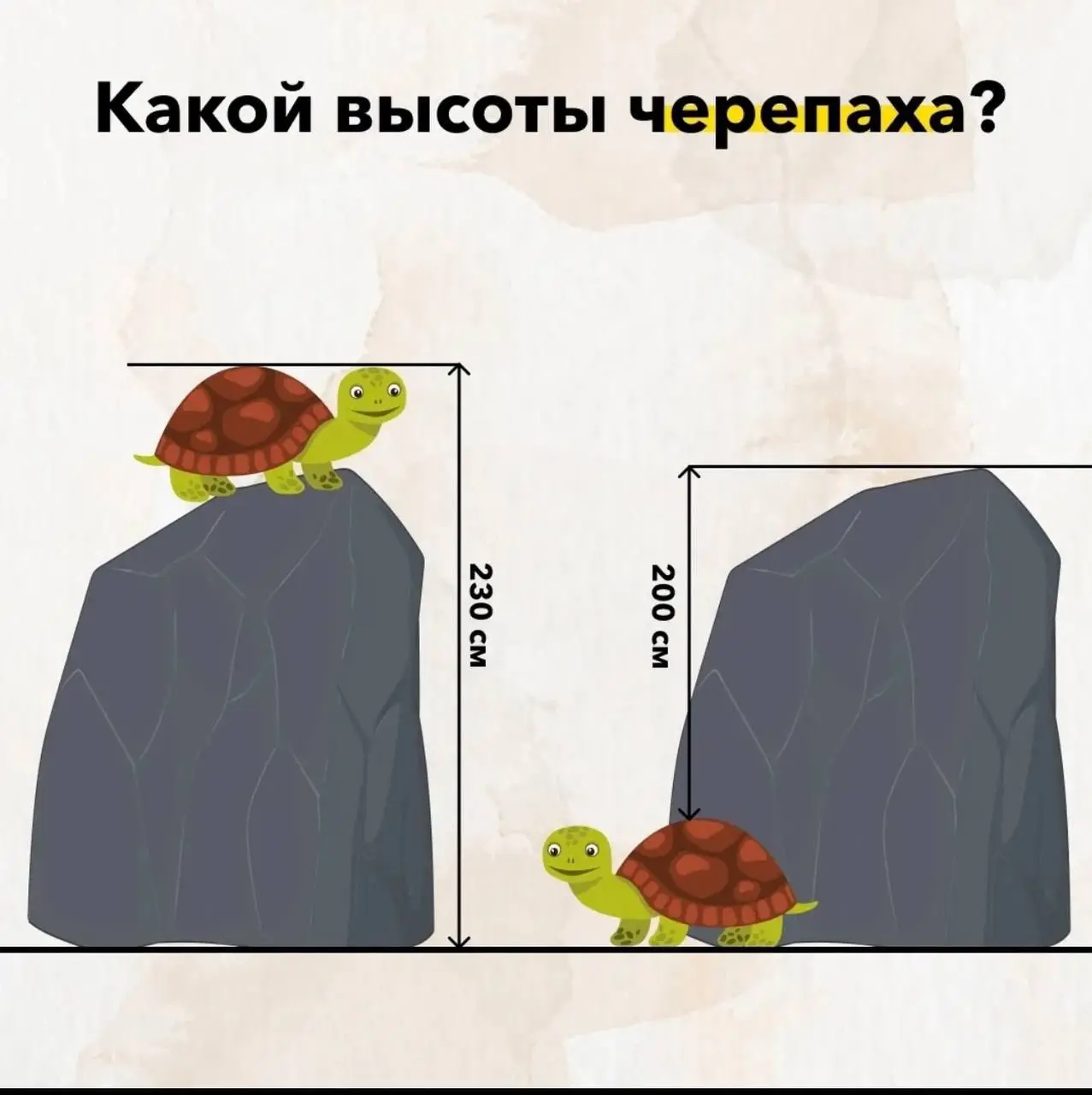 Разомнемся! | Сетка — социальная сеть от hh.ru