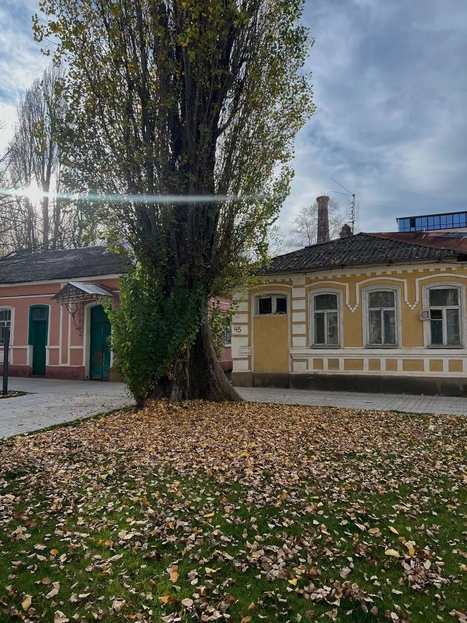 Ноябрь в Ставрополе удивил своей погодой
📸 @naslediegidstav | Сетка — социальная сеть от hh.ru