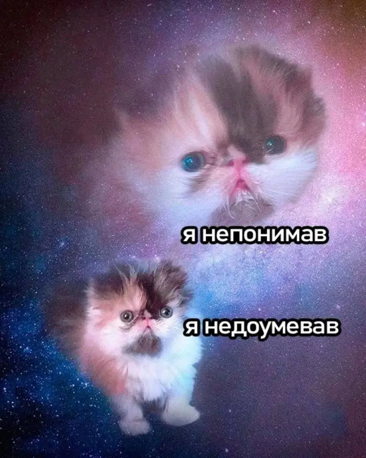 Когда уволилась в ноябре | Сетка — социальная сеть от hh.ru