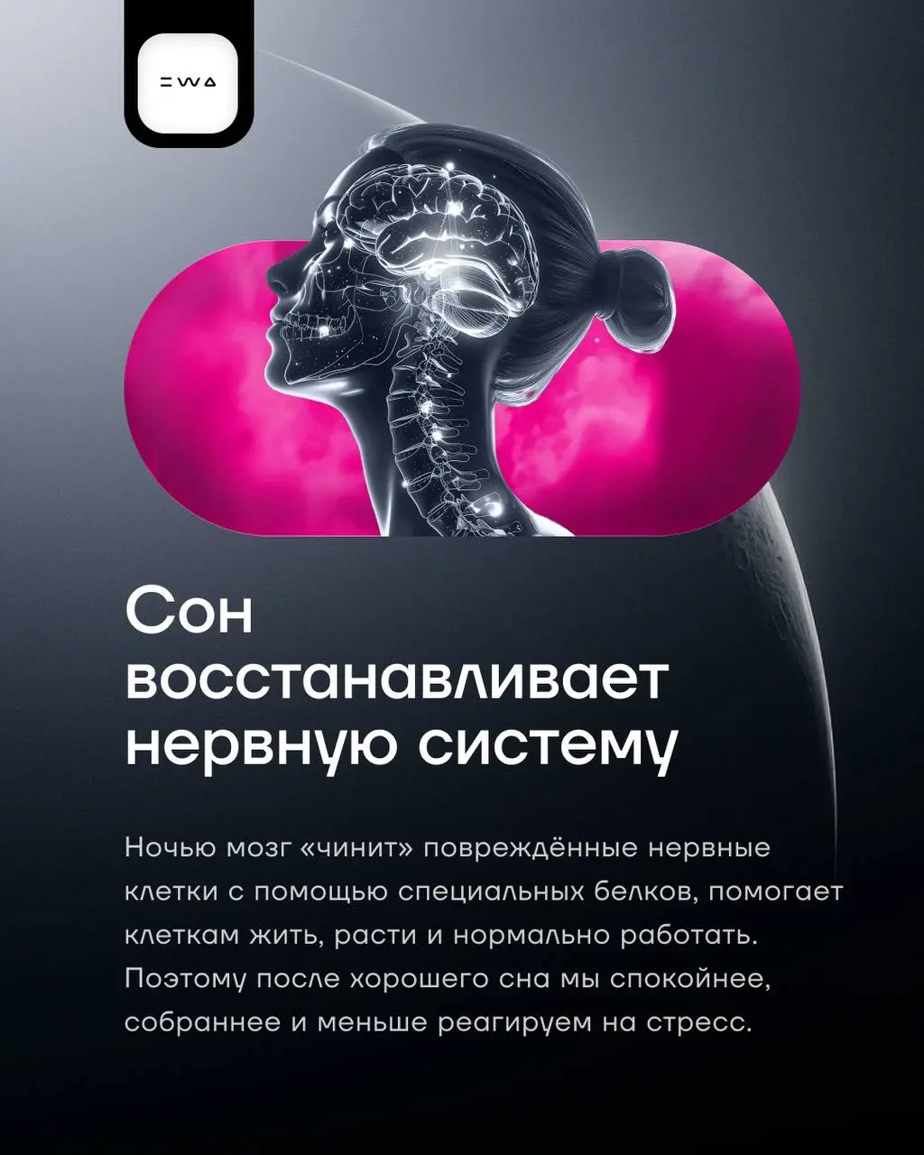 Что мы знаем о сне?💤
Мы привыкли думать о нем как о простом отдыхе, но на самом деле… Он перезагружает нервную систему, поддерживает иммунитет… И это только часть всех его суперспособностей😎
В нашей к... | Сетка — социальная сеть от hh.ru