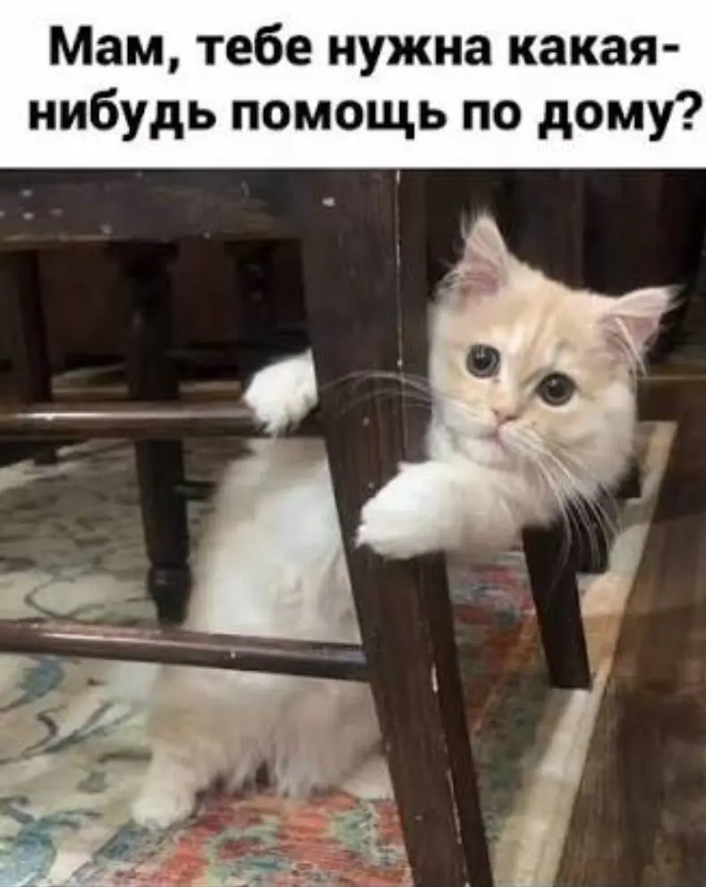 За деньги, да! 💸 | Сетка — социальная сеть от hh.ru