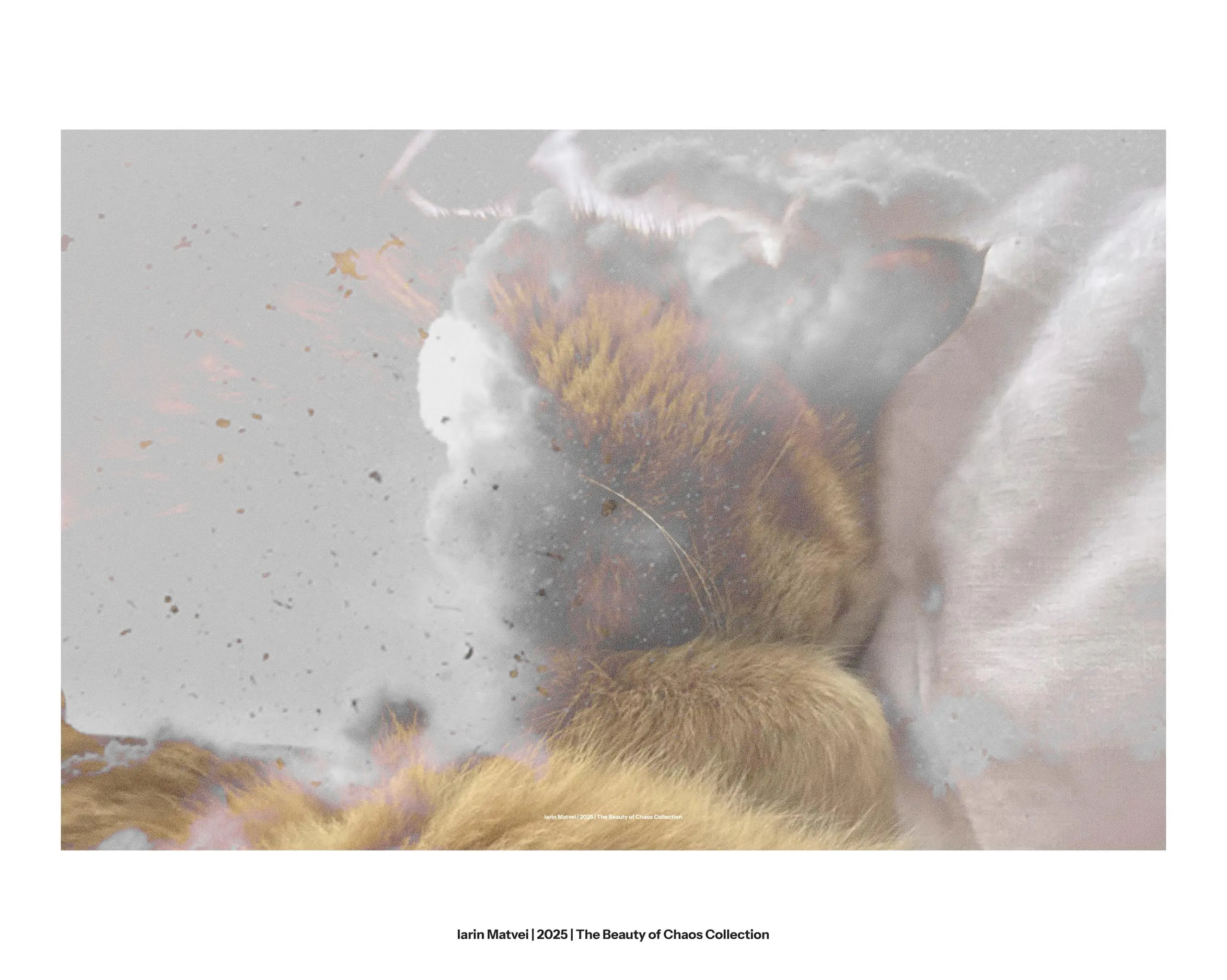 Iarin Matvei | 2025 | The Beauty of Chaos Collection.
Идея синергии двух противоположностей. Страх — необходимая часть спокойствия. Красота существует только если существует уродливое | Сетка — социальная сеть от hh.ru