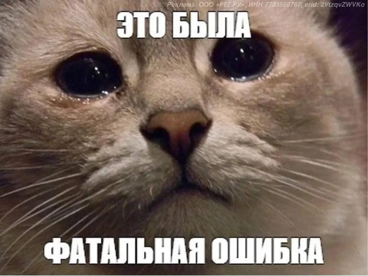 Кул стори для вас. 2015 год.
Я только начинаю карьеру, мечтаю об удаленке и свободе.
Отработал пару месяцев в офисе — и выбил себе мини-мечту: три дня в Карелии. Обещаю начальнику, что буду работать | Сетка — социальная сеть от hh.ru