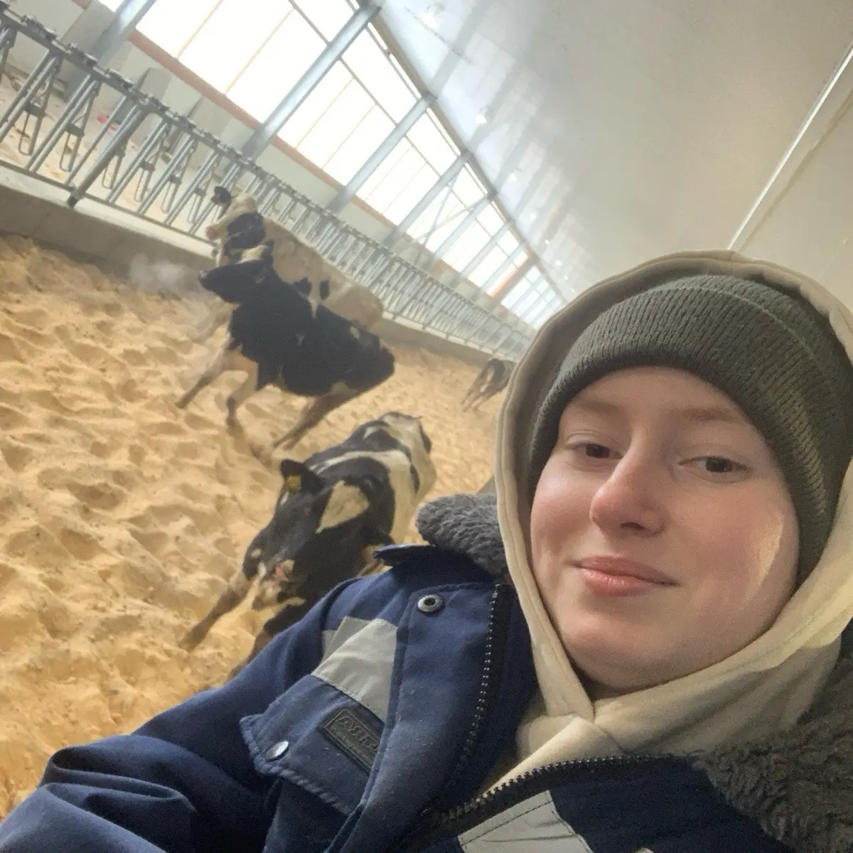 Анастасия Кострыкина | Сетка — социальная сеть от hh.ru