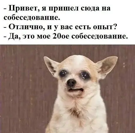 Секретное оружие рекрутера, о котором все молчат 🤫 | Сетка — социальная сеть от hh.ru