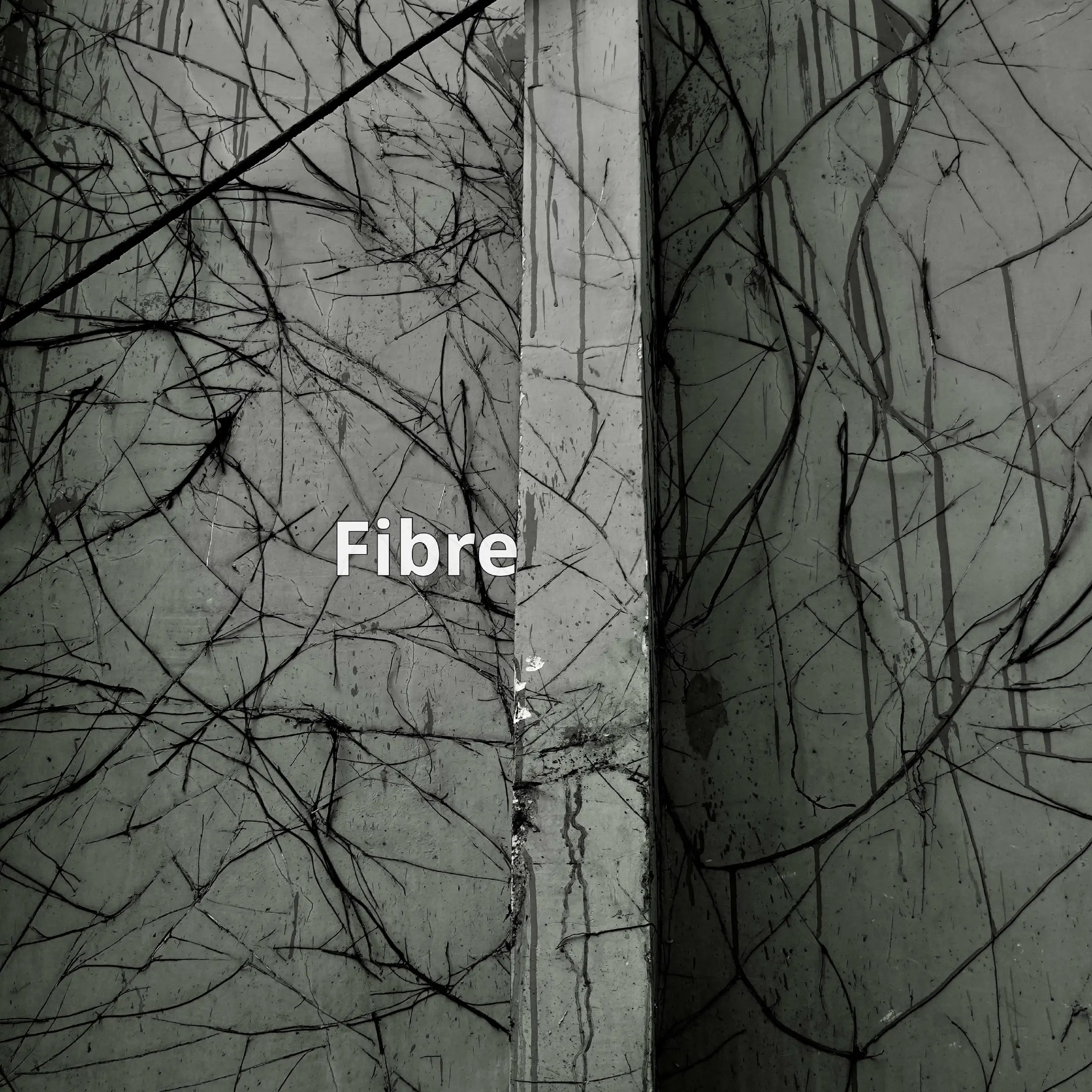 Fibre – это удобный инструмент для безопасной загрузки документов в Intercom, Crips и Zendesk | Сетка — социальная сеть от hh.ru