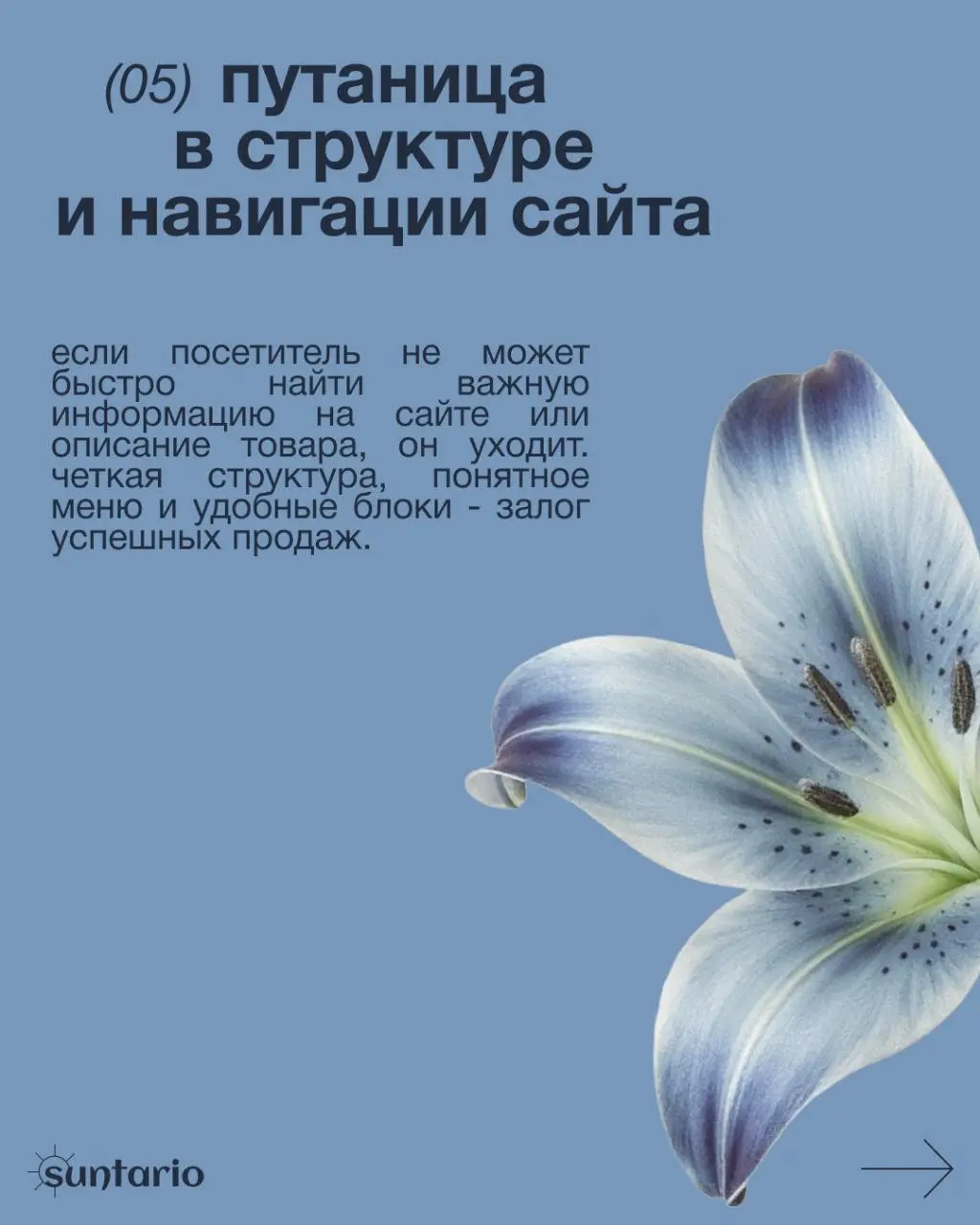 📌 Как ваш сайт мешает вам зарабатывать?
Давно делала пост карусель по этой теме в инстаграм, решила ещё сюда выложить
✉️ Для обсуждения вашего проекта вы всегда можете мне написать - @hhontario
Кейсы ... | Сетка — социальная сеть от hh.ru
