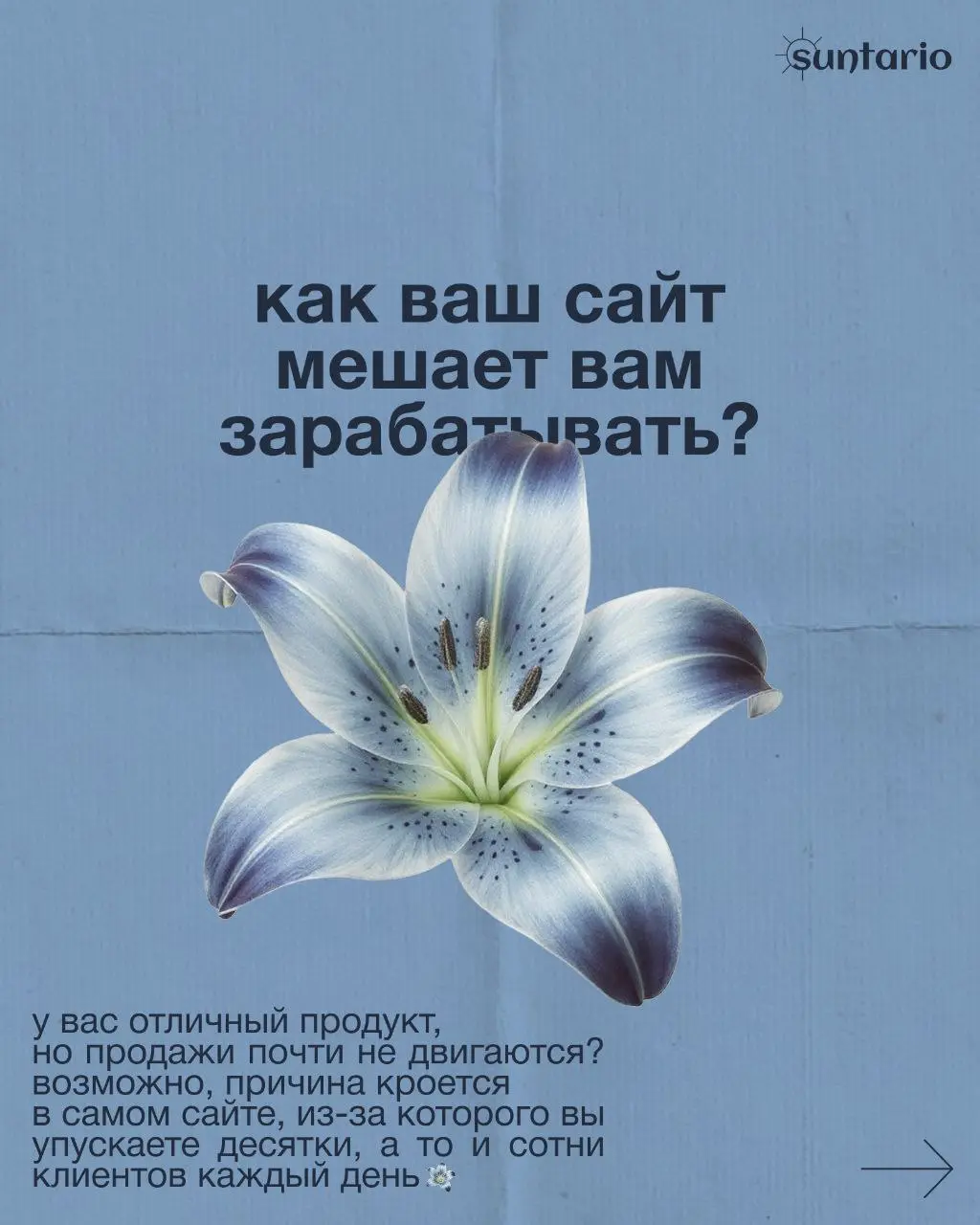 📌 Как ваш сайт мешает вам зарабатывать?
Давно делала пост карусель по этой теме в инстаграм, решила ещё сюда выложить
✉️ Для обсуждения вашего проекта вы всегда можете мне написать - @hhontario
Кейсы ... | Сетка — социальная сеть от hh.ru