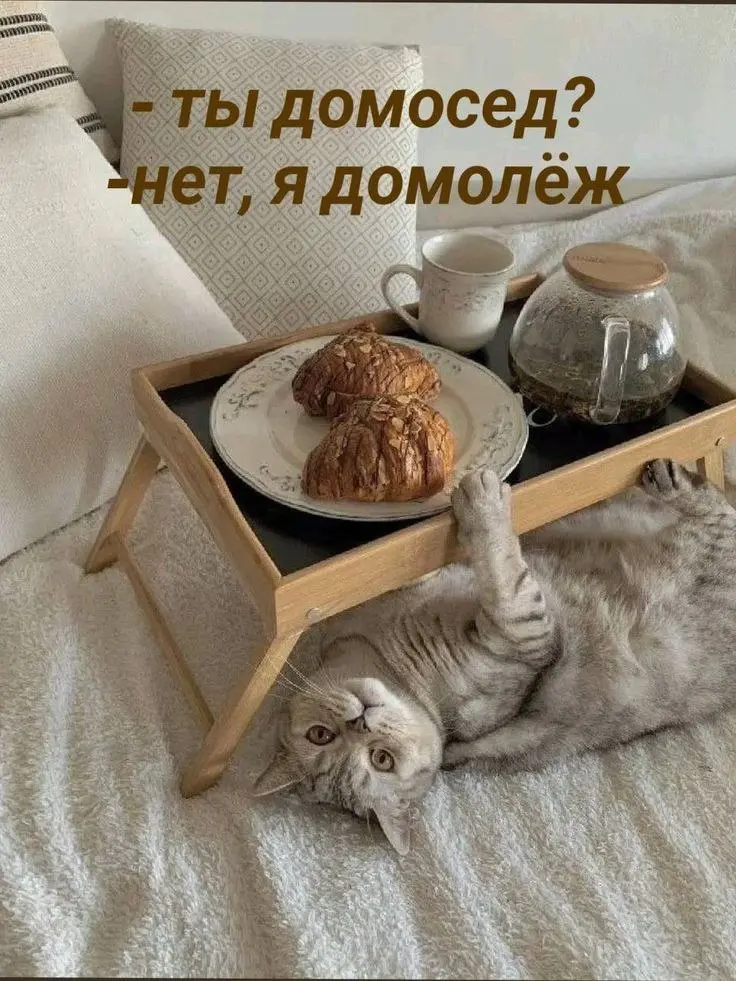 ЧЕТВЕРГ
Кофе, корица, деньги...
Работать не забываем😂
Подсказка Вселенной в сторис | Сетка — социальная сеть от hh.ru
