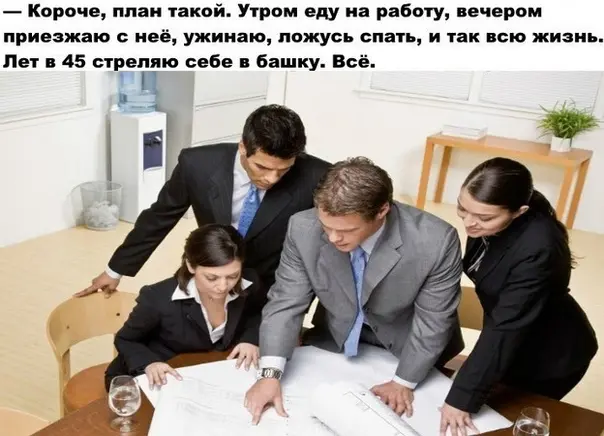 Алиса | Сетка — социальная сеть от hh.ru