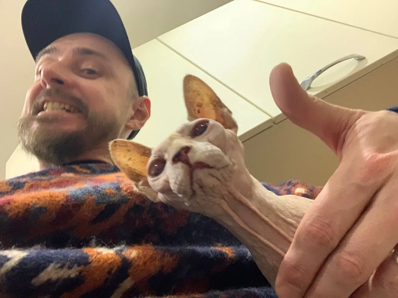 Котовьи съемки для Матроскин. Последние в этом году 🤪 | Сетка — социальная сеть от hh.ru