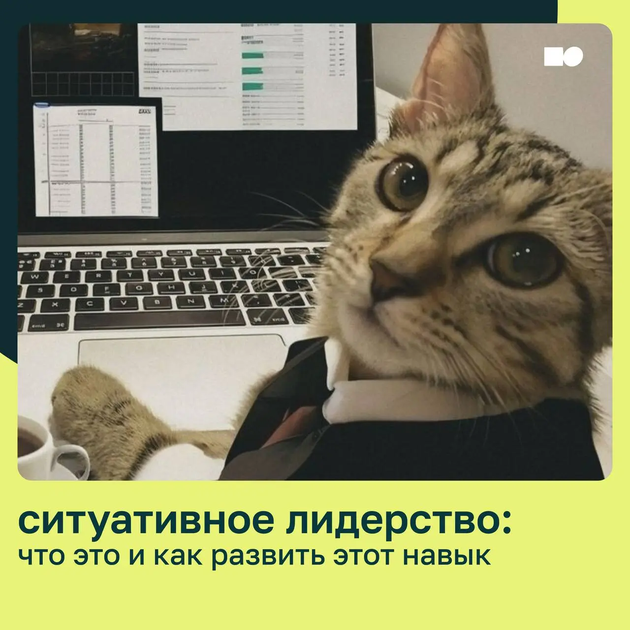 🤍 Ситуативное лидерство: как менять подходы к управлению и оставаться устойчивым
Ситуативное лидерство — это управленческий подход, в котором руководитель подбирает стиль взаимодействия под конкретног... | Сетка — социальная сеть от hh.ru