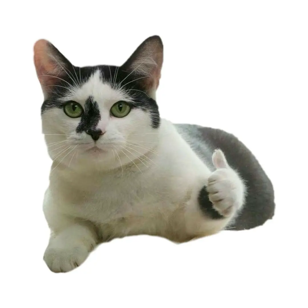 Пособие для соискателя: как не испортить впечатление | Сетка — социальная сеть от hh.ru