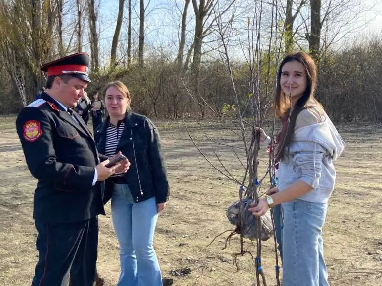 «Сад Памяти»: высадка деревьев в честь наших героев 🌿
21 ноября КРОО «Новая Жизнь» провели патриотическую акцию «Сад Памяти: Победы, Мужества, Героизма» в станице Пластуновская Краснодарского края | Сетка — социальная сеть от hh.ru