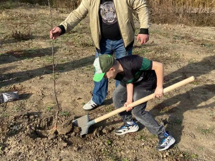 «Сад Памяти»: высадка деревьев в честь наших героев 🌿
21 ноября КРОО «Новая Жизнь» провели патриотическую акцию «Сад Памяти: Победы, Мужества, Героизма» в станице Пластуновская Краснодарского края | Сетка — социальная сеть от hh.ru