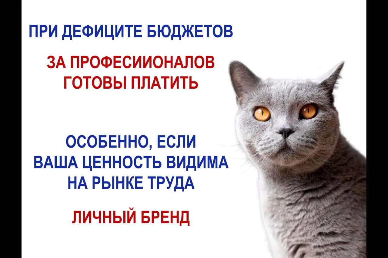 Проводила онлайн вебинар для закрытого общества рисковиков | Сетка — социальная сеть от hh.ru