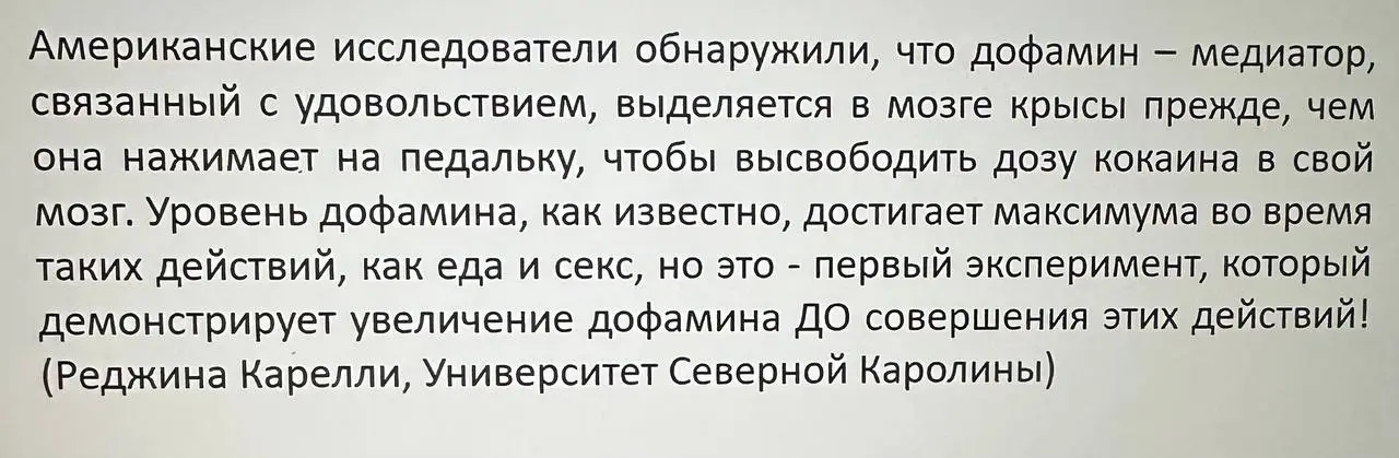 Дофаминовое ожидание
Многие из нас ждут Новый год, и в этом ожидании уже есть особое удовольствие. Мы замечаем изменения вокруг, подводим итоги, строим планы и постепенно настраиваемся на новый цикл | Сетка — социальная сеть от hh.ru