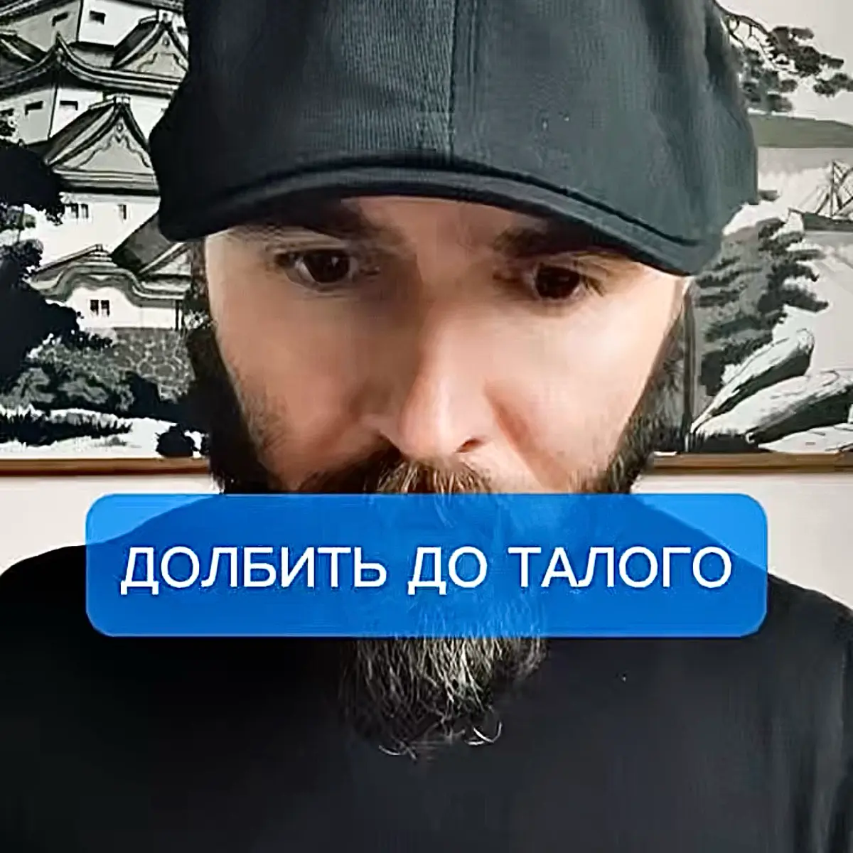 🎙️тг | Сетка — социальная сеть от hh.ru