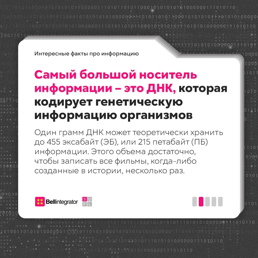 Вчера был Всемирный день информации 💻
26 ноября во всем мире вспоминают о том, насколько важна информация в нашей жизни | Сетка — социальная сеть от hh.ru