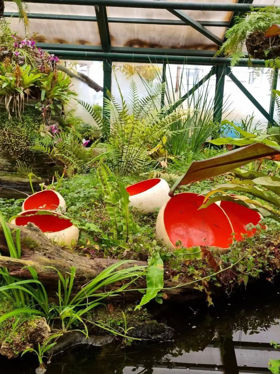 🍄‍🟫Выставку грибов в «Аптекарском огороде» продлили до весны
Увидетькерамических гигантов можно в Субтропической оранжерее | Сетка — социальная сеть от hh.ru