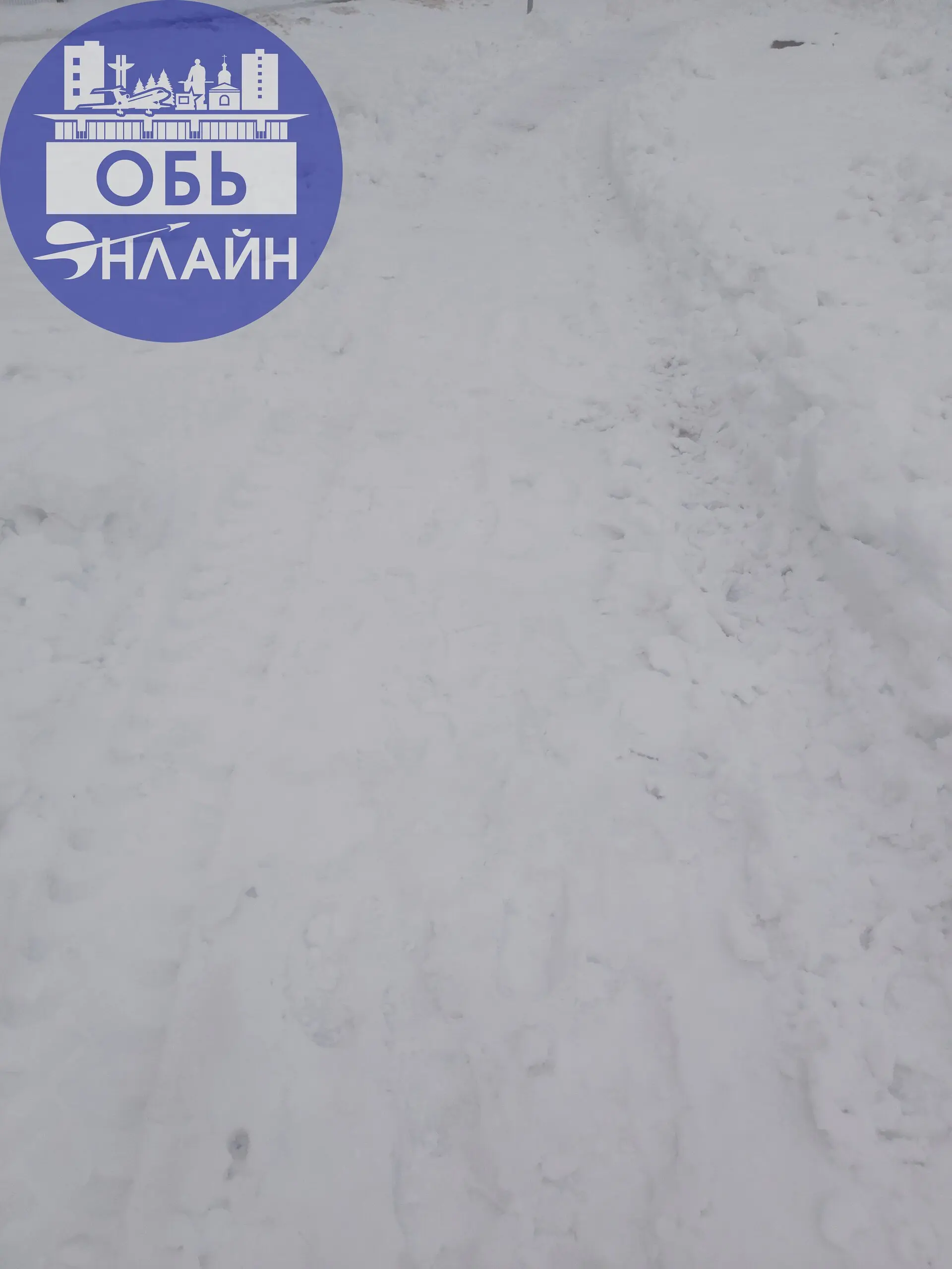 ↗ Уважаемые МКУ "Городское хозяйство", Вы вообще проверяете работу Ваших сотрудников?
Предлагаю Вам завтра пройти по парку и оценить работу сотрудников и дать ответ в комментариях, и в следующий раз п... | Сетка — социальная сеть от hh.ru