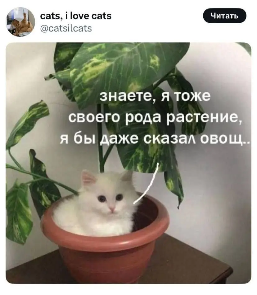 После 153 встреч на неделе 🫥 | Сетка — социальная сеть от hh.ru