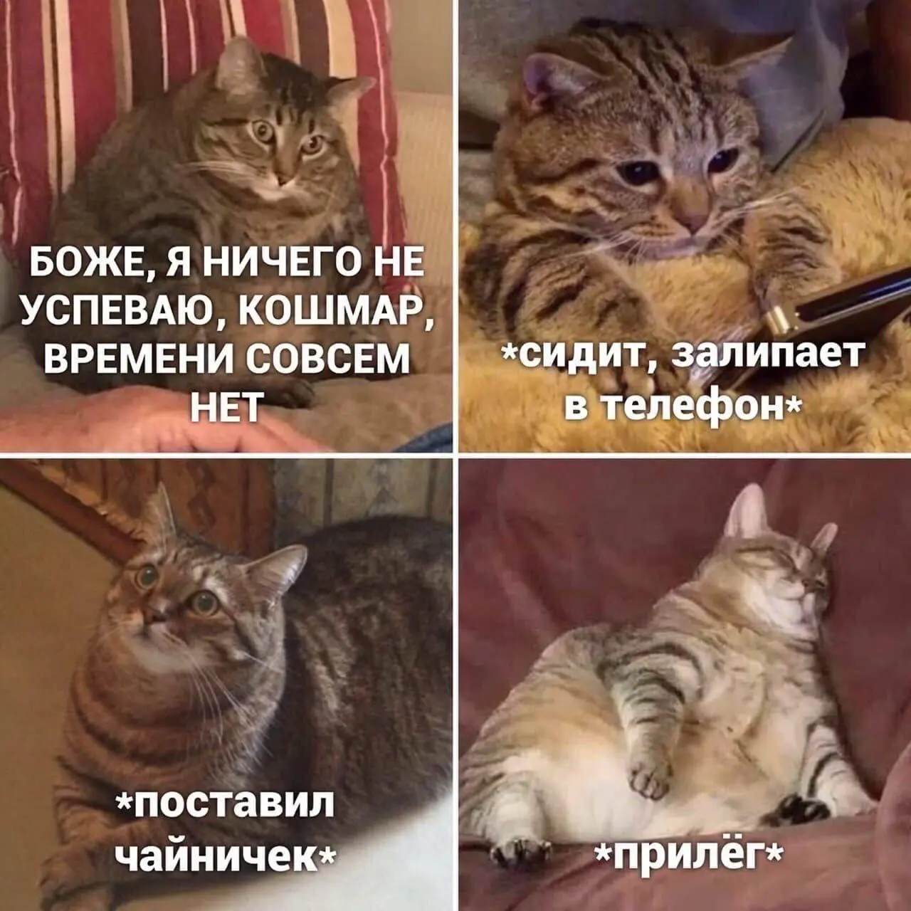 #IT
😂 ПМ 🛍 Другие каналы
В этом посте были ссылки, но мы их удалили по правилам Сетки | Сетка — социальная сеть от hh.ru