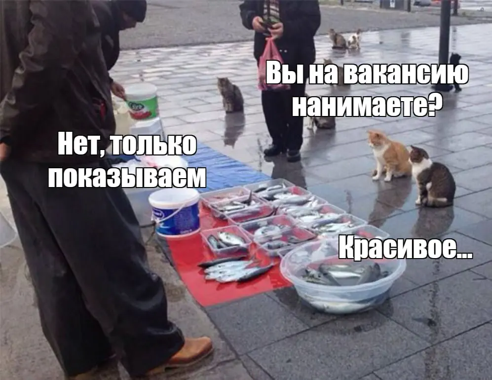 Было бы смешно, если бы не было грустно.
Кстати, тему затронули в эфире «Ъ FM». Подробности и комментарии Ольги Петровой по ссылке 👉 https://www.kommersant.ru/doc/8212485
#hrбудни | Сетка — социальная сеть от hh.ru