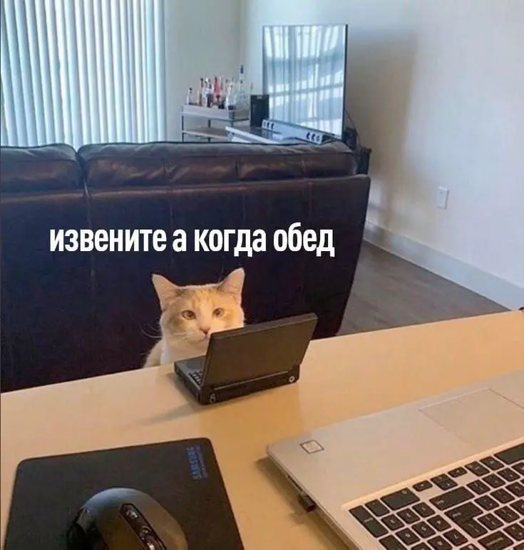 Работаем 24/7, хотя никто не просит | Сетка — социальная сеть от hh.ru