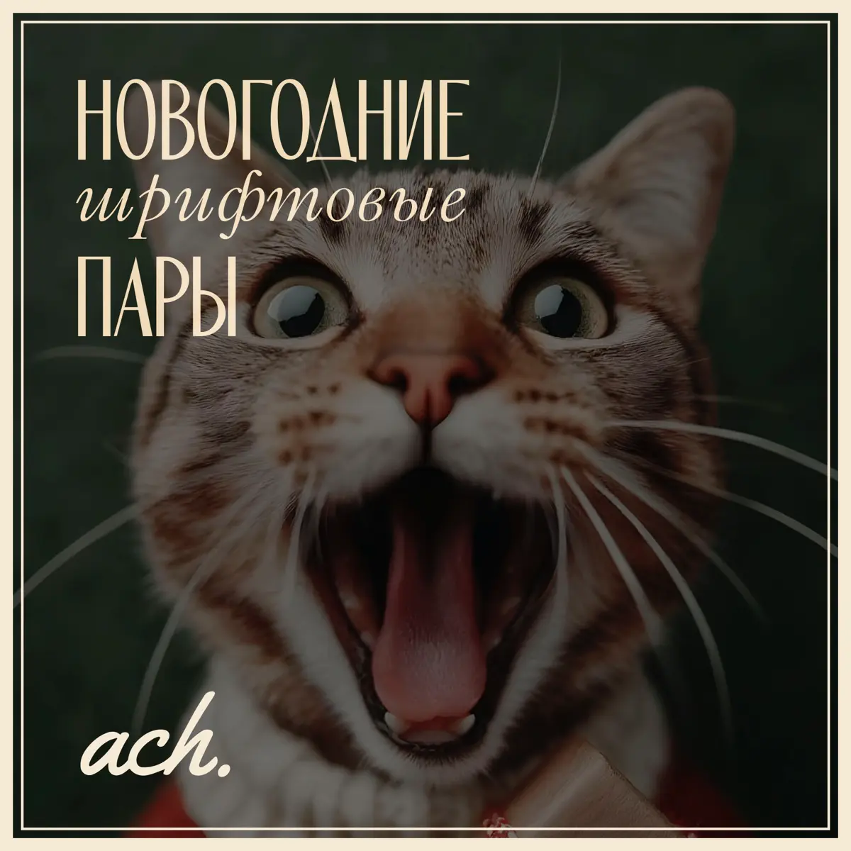 Подборка новогодних шрифтовых пар для создания праздника! | Сетка — социальная сеть от hh.ru
