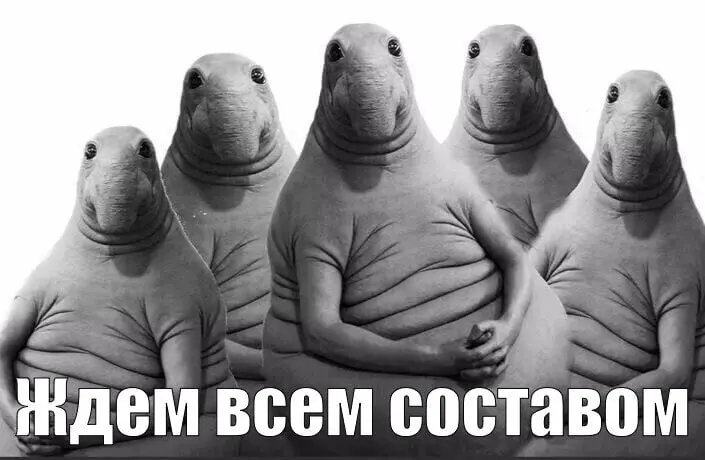 Срок действия ежегодно продлеваемых ФНП в области промышленной безопасности «Требования к производству сварочных работ на опасных производственных объектах», утв. приказом Ростехнадзора от 11.12 | Сетка — социальная сеть от hh.ru