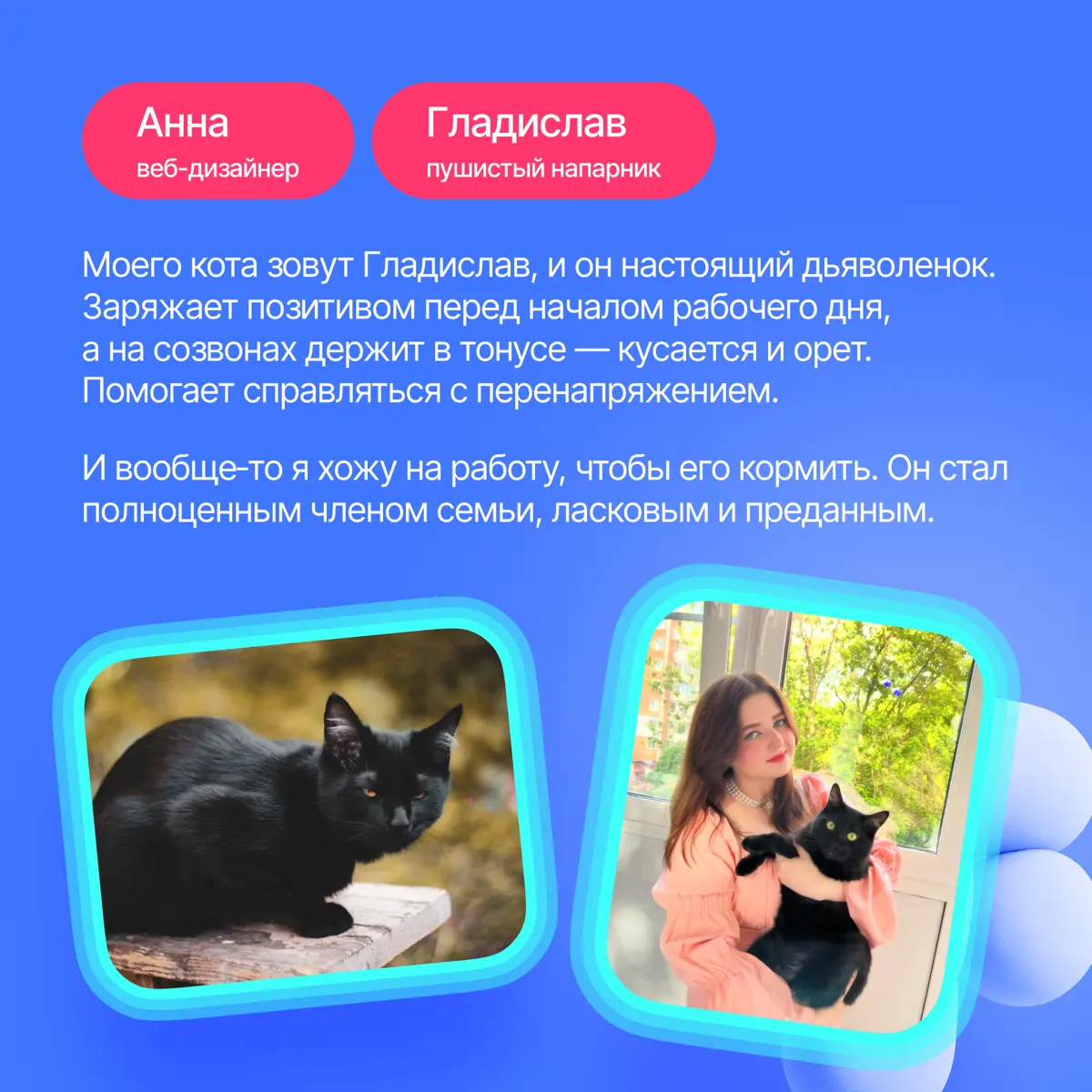 На связи антистресс-менеджеры Lad🐈‍ | Сетка — социальная сеть от hh.ru