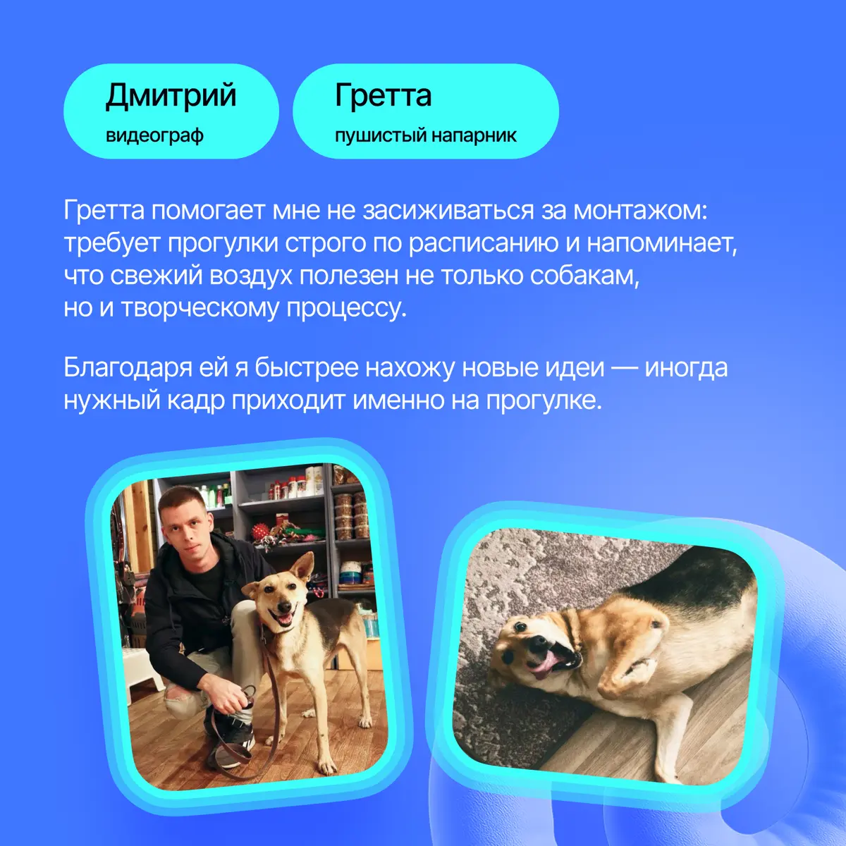 На связи антистресс-менеджеры Lad🐈‍ | Сетка — социальная сеть от hh.ru