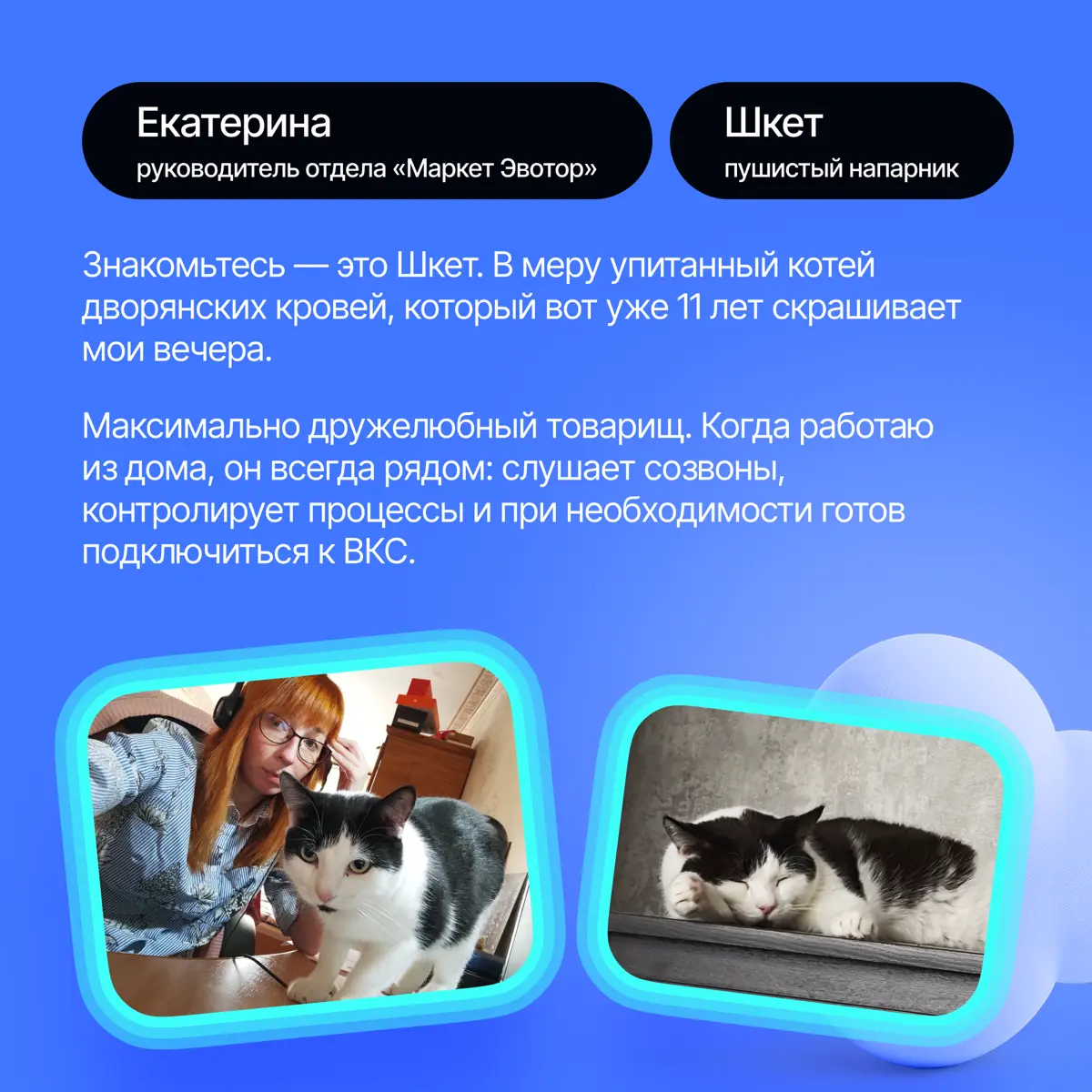 На связи антистресс-менеджеры Lad🐈‍ | Сетка — социальная сеть от hh.ru