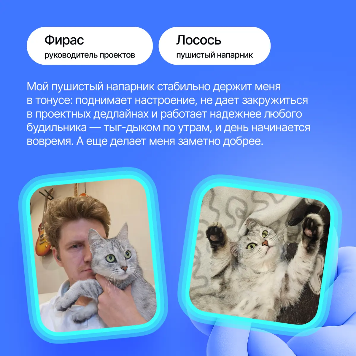 На связи антистресс-менеджеры Lad🐈‍ | Сетка — социальная сеть от hh.ru