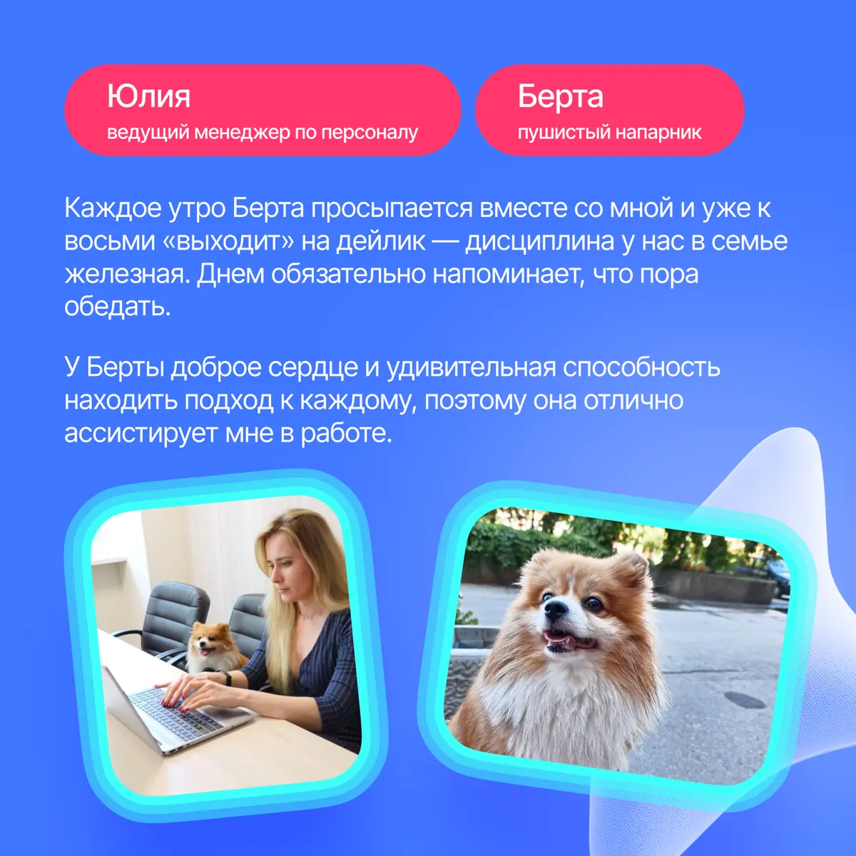 На связи антистресс-менеджеры Lad🐈‍ | Сетка — социальная сеть от hh.ru