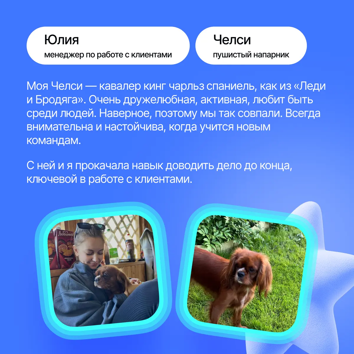 На связи антистресс-менеджеры Lad🐈‍ | Сетка — социальная сеть от hh.ru