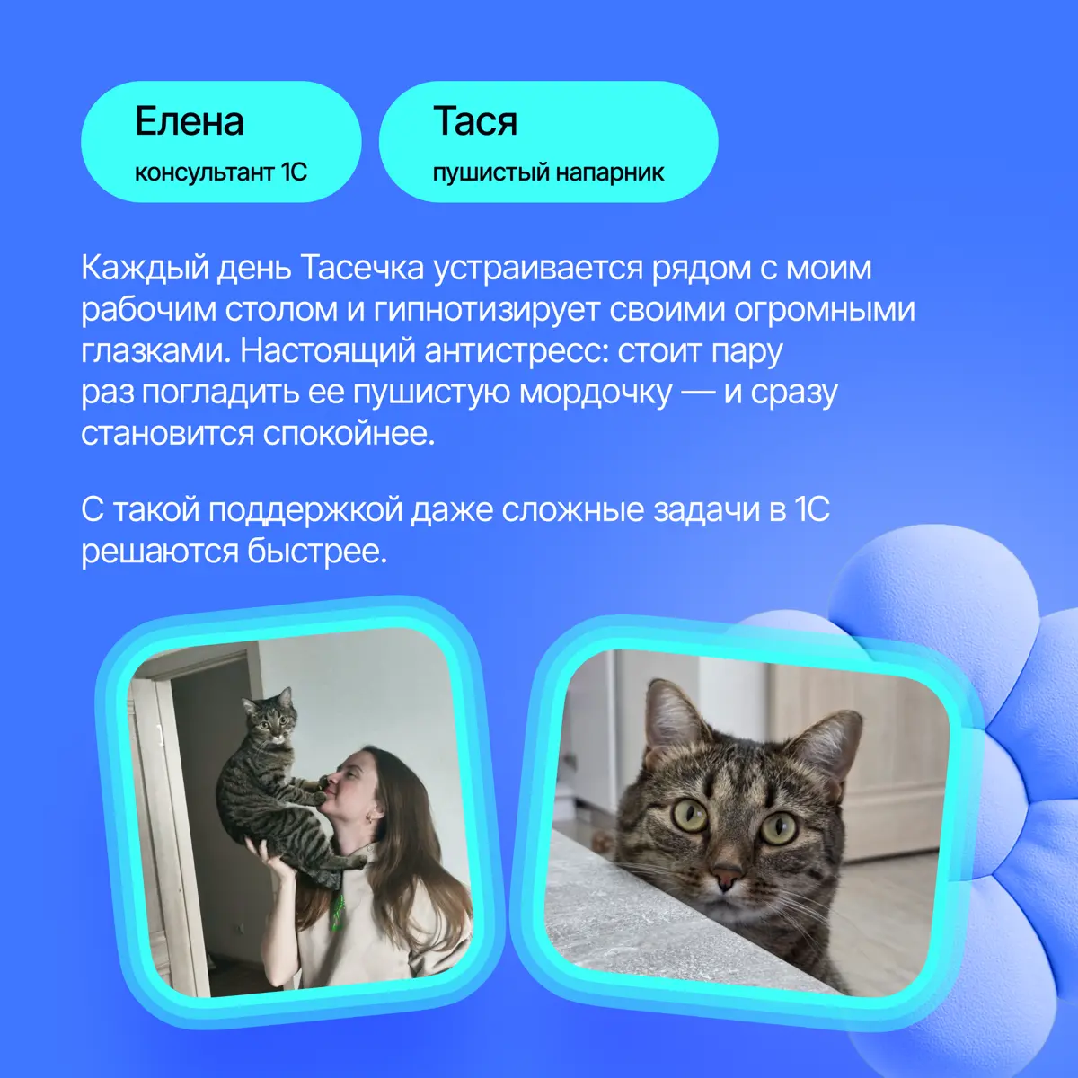 На связи антистресс-менеджеры Lad🐈‍ | Сетка — социальная сеть от hh.ru