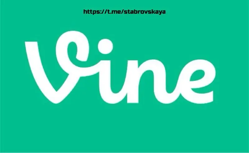 Кто-то помнит приложение Vine?
Vine - это ранее популярное приложение для коротких шестисекундных видеороликов, закрытое компанией Twitter в 2016 году | Сетка — социальная сеть от hh.ru
