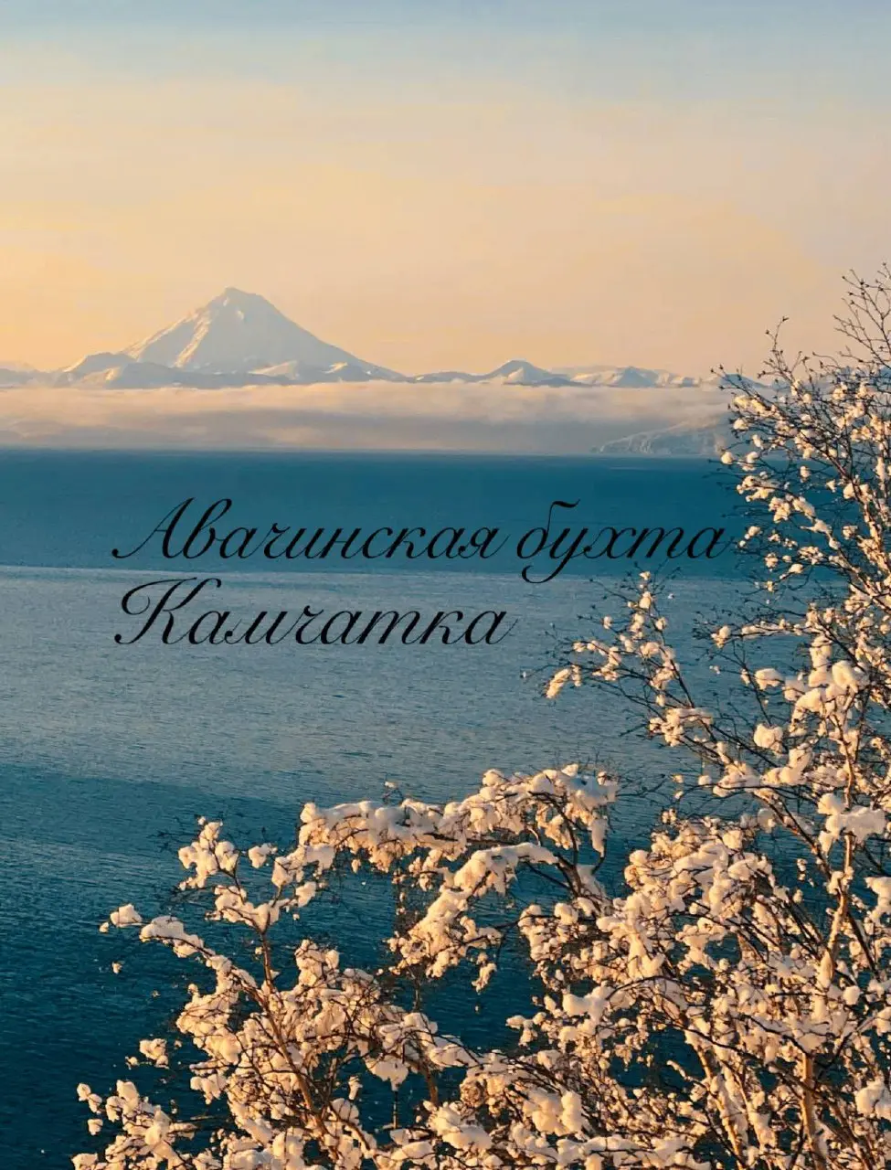 И даже зимой 😍 | Сетка — социальная сеть от hh.ru