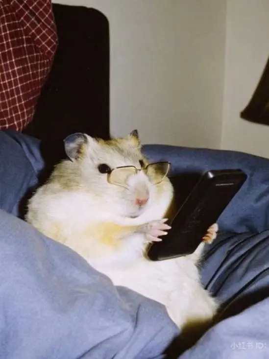 Привет, друзья!👋 Сегодня последняя рабочая пятница осени | Сетка — социальная сеть от hh.ru