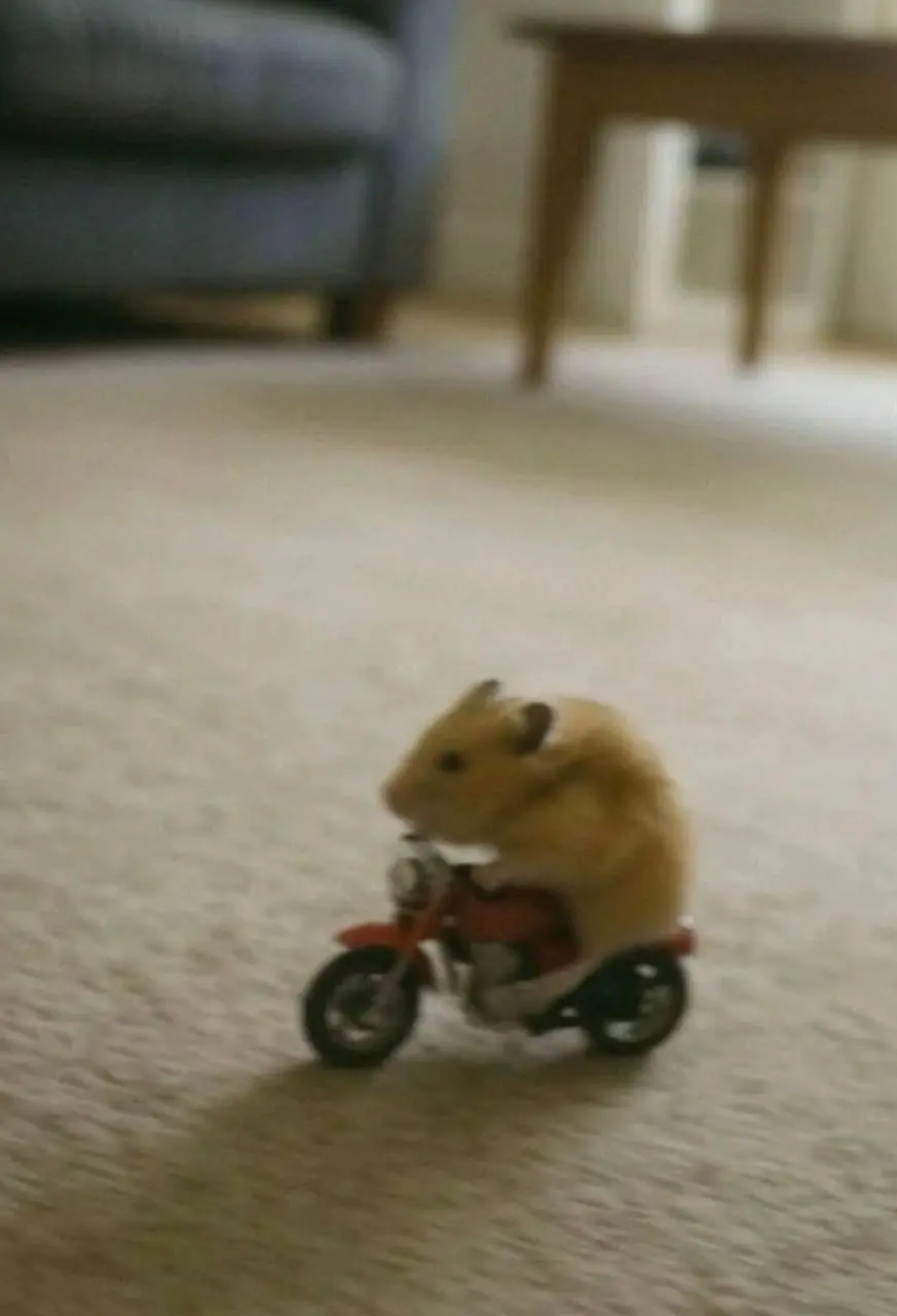 Привет, друзья!👋 Сегодня последняя рабочая пятница осени | Сетка — социальная сеть от hh.ru