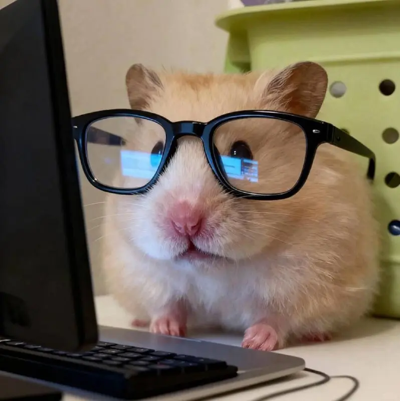 Привет, друзья!👋 Сегодня последняя рабочая пятница осени | Сетка — социальная сеть от hh.ru