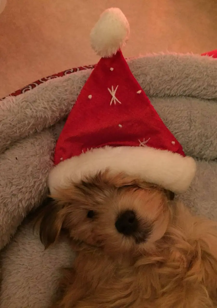 Привет, друзья!👋 Сегодня последняя рабочая пятница осени | Сетка — социальная сеть от hh.ru