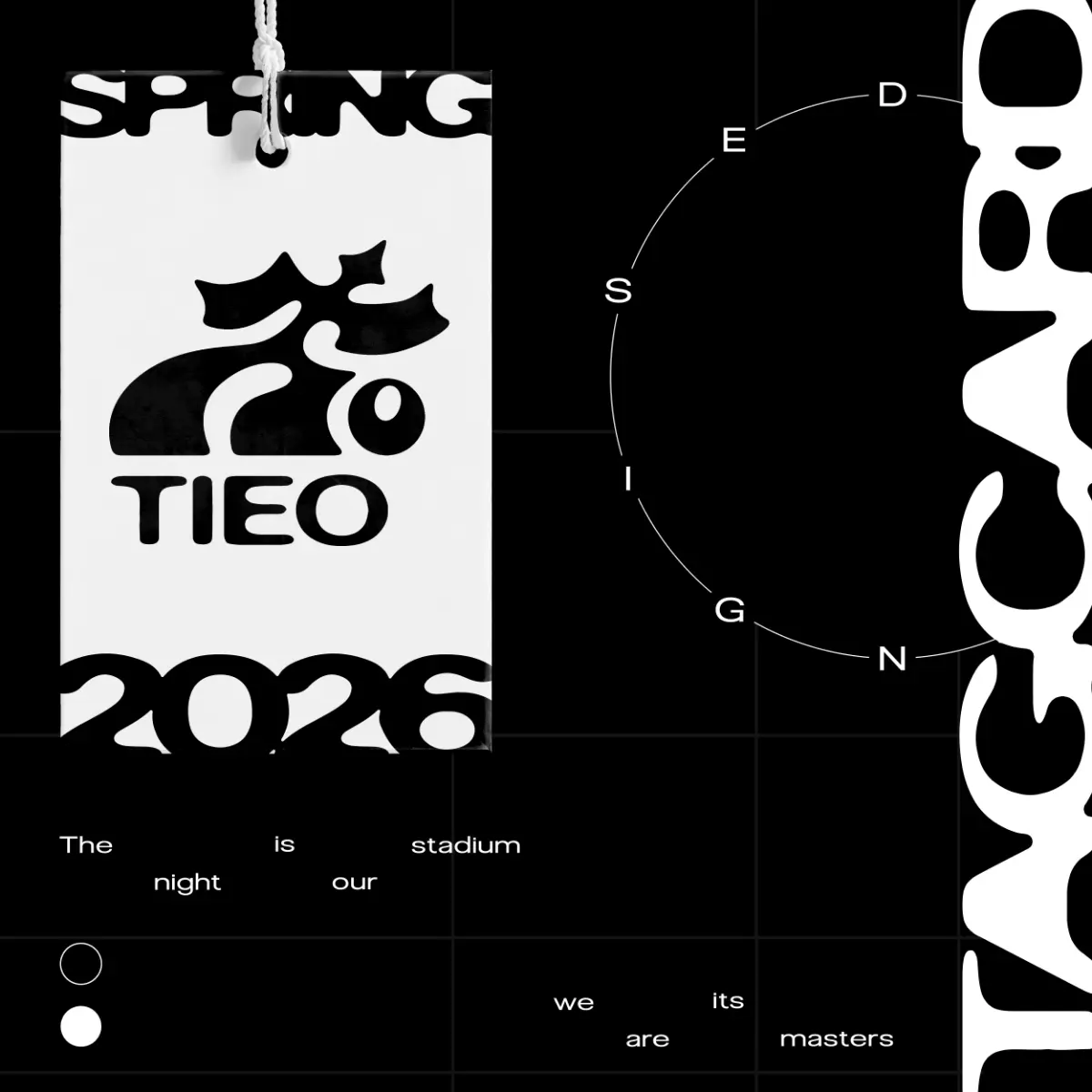 Дизайн-проект для бренда "TIEO" | Сетка — социальная сеть от hh.ru