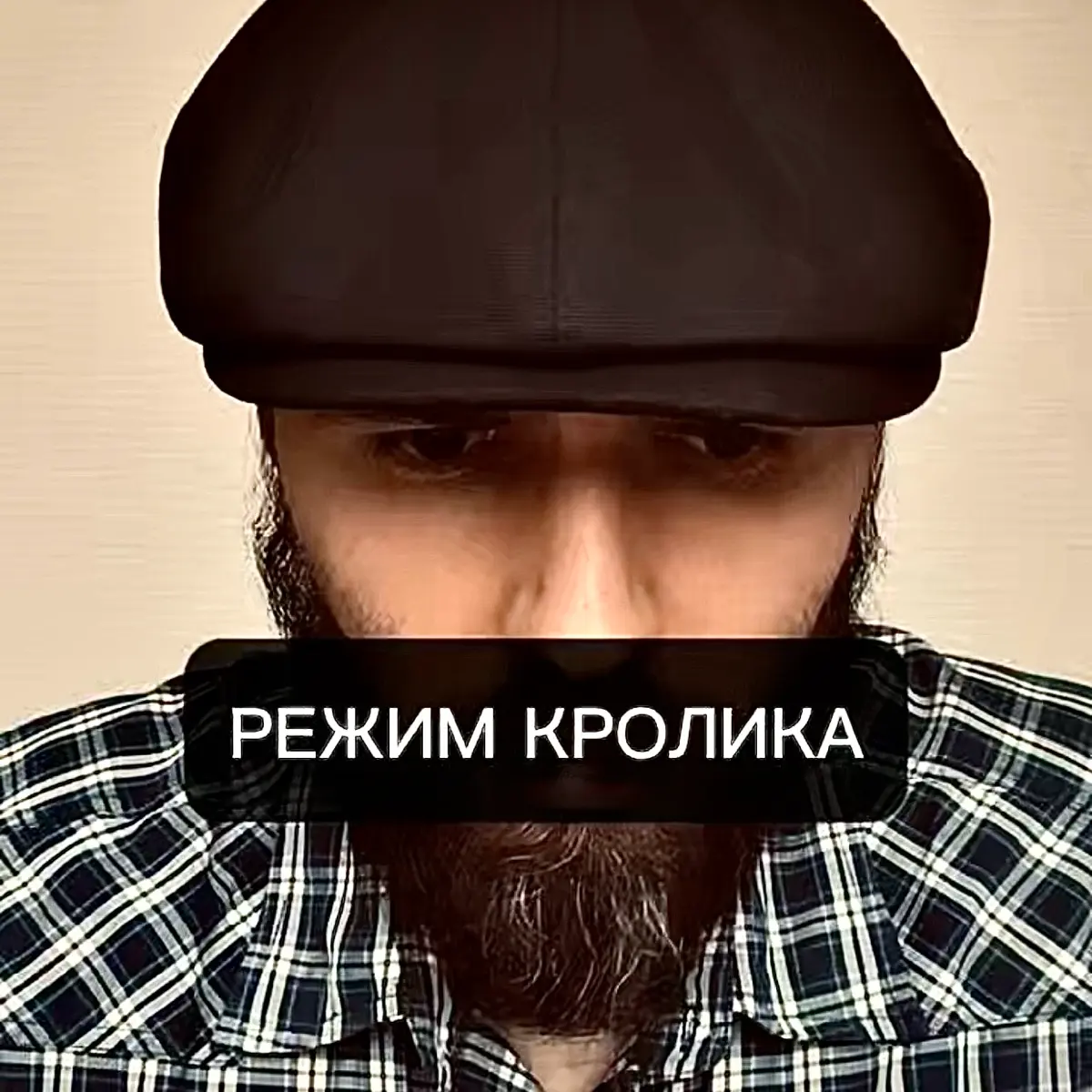 📺тгк | Сетка — социальная сеть от hh.ru